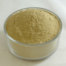 Olive Leaf Powder